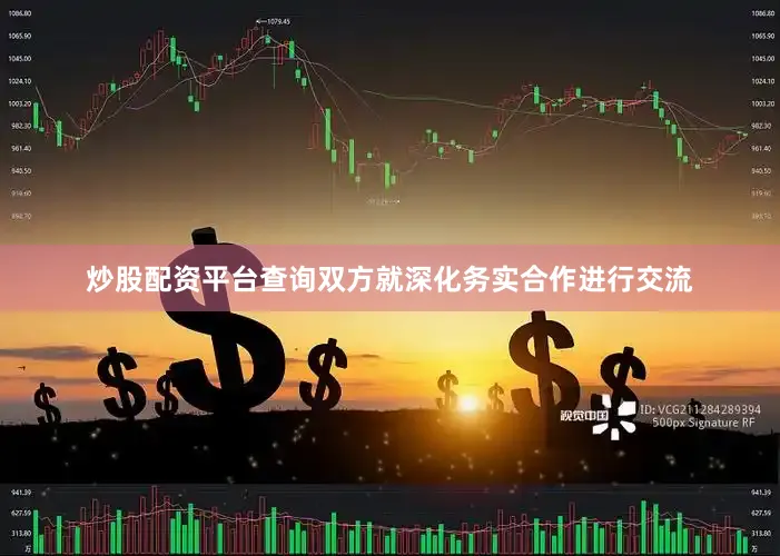 炒股配资平台查询双方就深化务实合作进行交流