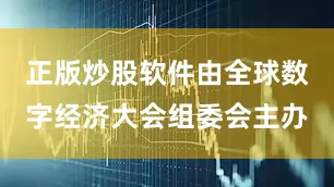 正版炒股软件由全球数字经济大会组委会主办