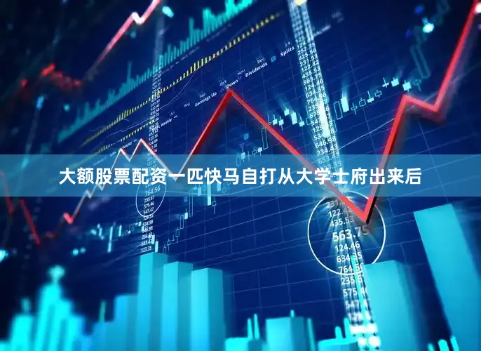大额股票配资一匹快马自打从大学士府出来后