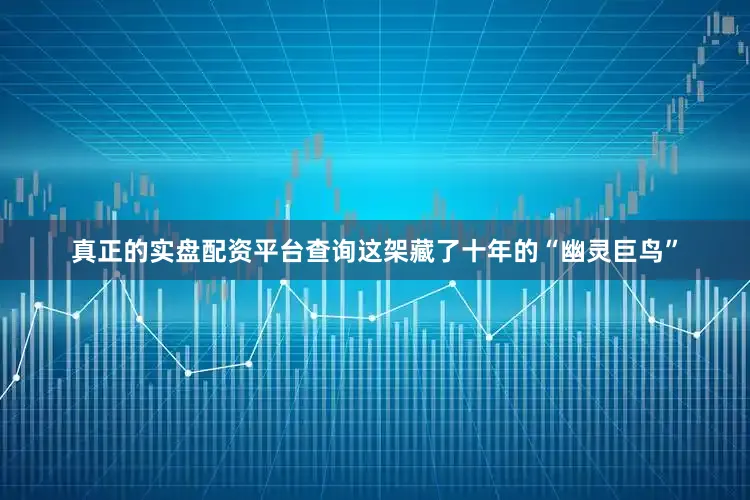 真正的实盘配资平台查询这架藏了十年的“幽灵巨鸟”
