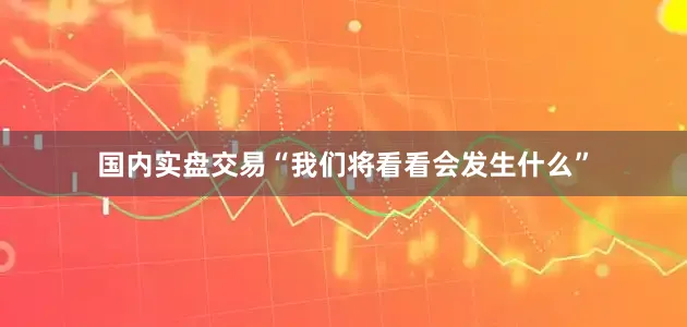国内实盘交易“我们将看看会发生什么”