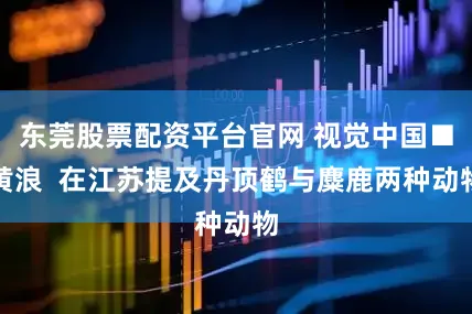 东莞股票配资平台官网 视觉中国■黄浪  在江苏提及丹顶鹤与麋鹿两种动物